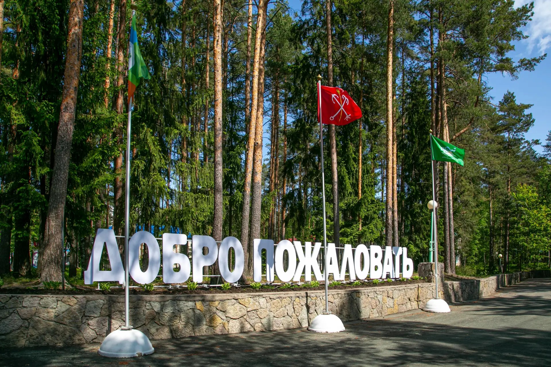 ДООЛ (2)
